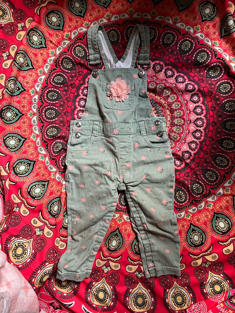 Baby Girl Mint Green Floral Overalls